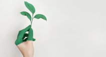 EUteens4Green - Fiatalok zöld átállásban való részvételének előmozdítása