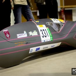 Pollack Expo