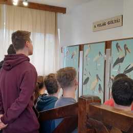 Dr. Pécz Tibor - Kölked, Fehér Gólya Múzeum