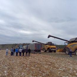 Zsebe Tamás - Bóly Zrt.-2025.09.26